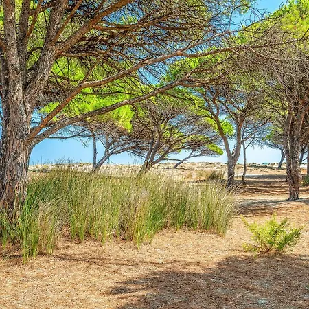 Bilo 4 * Budoni